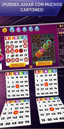 Bingo Sin Conexión screenshot 1