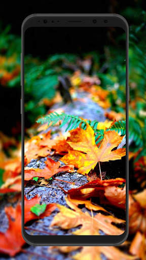 4k Wallpapers - latest HD Wallpapers 2020 screenshot 6