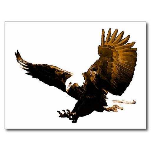 Eagle HD Wallpaper 1.0