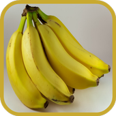 Fruits and Vegetables for Kids icon