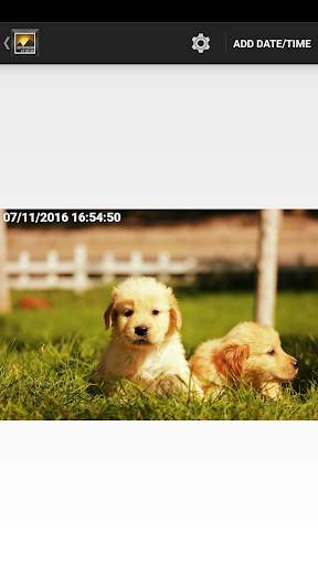 Timestamp Photo and Video screenshot 9