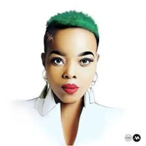 NOMCEBO ZIKODE SONGS APP 2020 icon