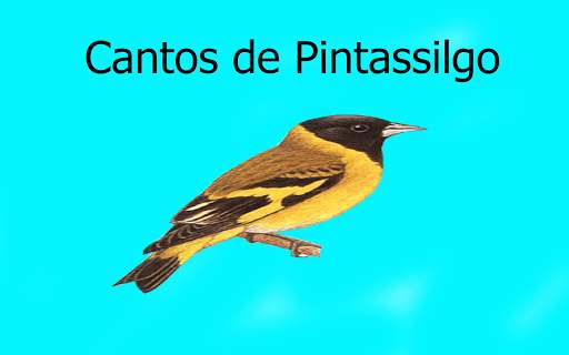 Cantos de Pintassilgo LITE 2 screenshot 1