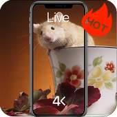 Mouse Live Wallpaper 4K 3.0