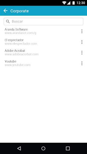 Aranda Secure Web Browser screenshot 7