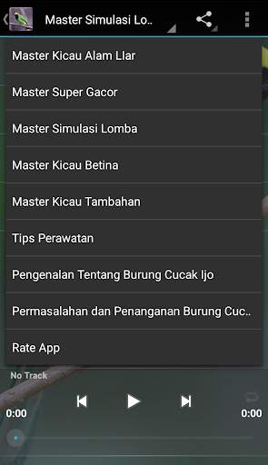 Master Kicau Cucak Ijo screenshot 4