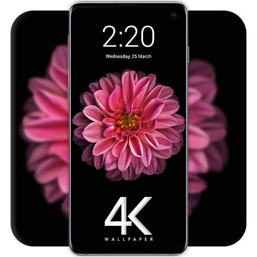 4k WallPaper - HD Wallpapers & Backgrounds 2020 1.0.5