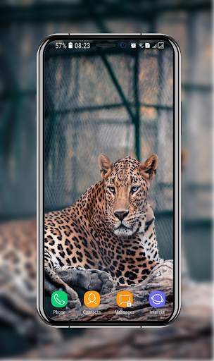 New Cheetah Wallpapers screenshot 9