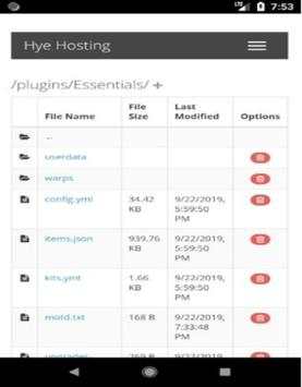 Hye Minecraft Server Hosting screenshot 2
