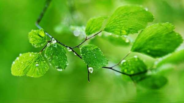 Natural wallpaper HD screenshot 11