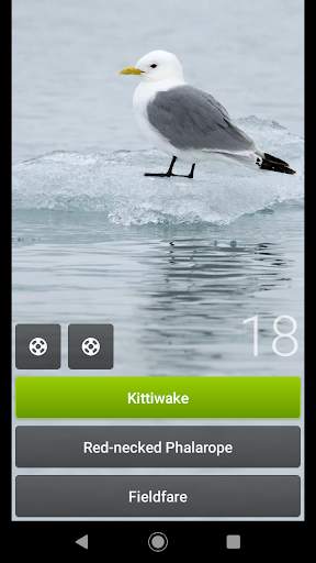 Bird Quiz Europe screenshot 2