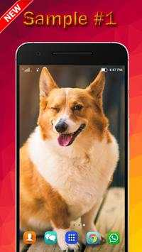 Dog Wallpaper screenshot 1