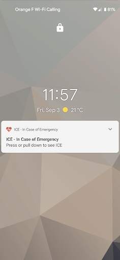 ICE - In Case of Emergency screenshot 4