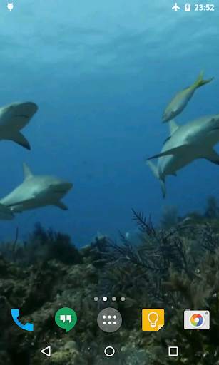 Sharks Live Wallpaper screenshot 3