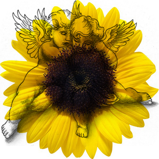 Genealogical tree 3D icon