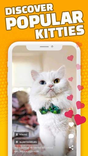 FlipKitty for Reddit screenshot 2