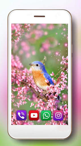 Spring Birds Live Wallpaper स्क्रीनशॉट 5