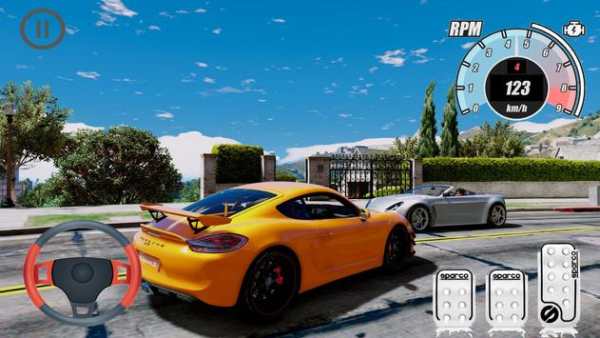 Top Simulator Porsche Cayman GT4 Edition screenshot 3