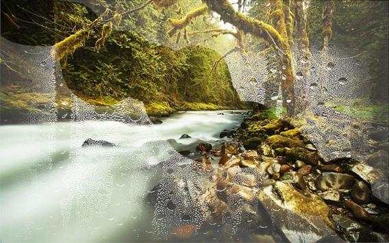 Forest Gallery live wallpaper screenshot 6
