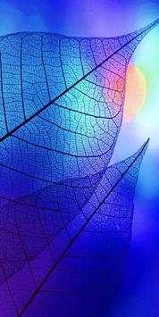 Wallpapers for iPhone | HD Os13 Wallpapers screenshot 4