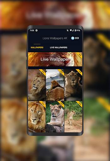 Wallpapers Lions 4K screenshot 1