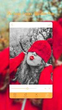 Picture Color Studio Pro screenshot 3