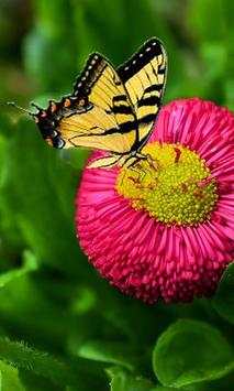 Gesture Lock screen and app lock theme butterfly screenshot 2