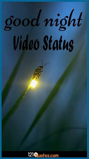 Good Night Video Status screenshot 3