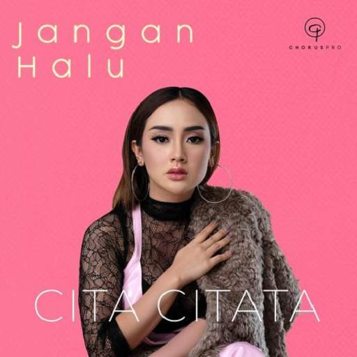 Lagu Cita Citata Mp3 Offline screenshot 6