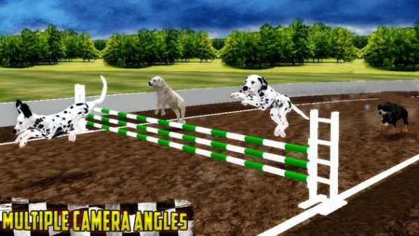 Ultimate Dog Race: greyhound Derby Race screenshot 4