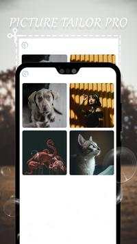 Picture Tailor Pro screenshot 4