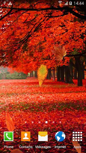 Autumn Forest Live Wallpaper screenshot 2