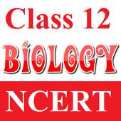 Class 12 Biology Solutions 6.6