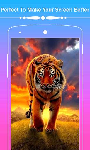 Tiger Hd Wallpapers screenshot 5