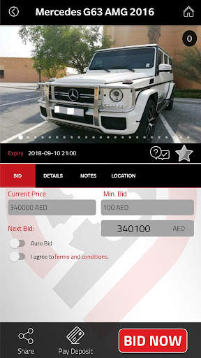 Online Auction скриншот 7
