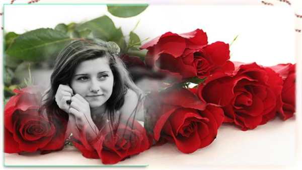 Rose Photo Frames скриншот 2