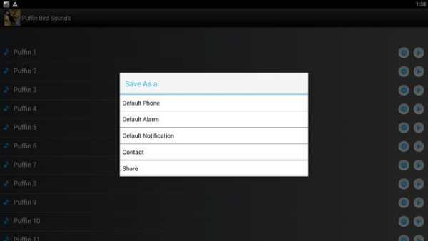 Puffin Bird Sounds Ringtones screenshot 4