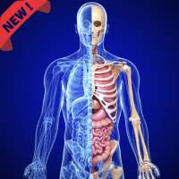 Anatomy and Physiology App