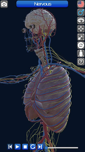 Anatomy 3D screenshot 9