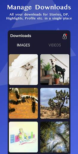 igram | Instagram Video Downloader & Story Saver screenshot 6