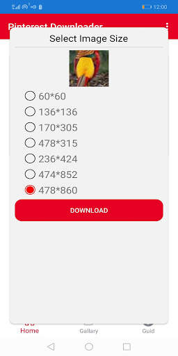 Downloader for Pinterest screenshot 2