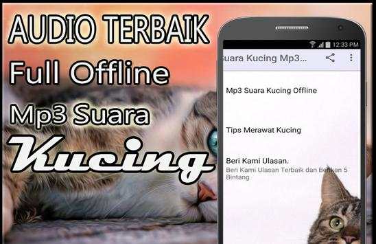 Suara Kucing Mp3 Offline screenshot 2