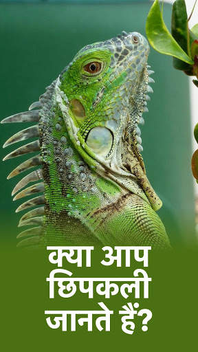 पशु - सभी पशु और पक्षी! चिड़ियाघर! जूलॉजी टेस्ट! स्क्रीनशॉट 3