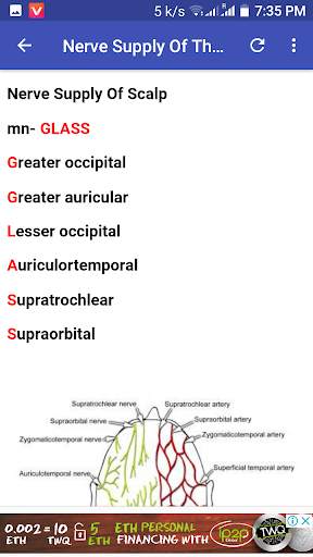 All Anatomy Mnemonic screenshot 6