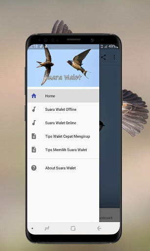 Suara Walet Panggil dan Inap screenshot 2