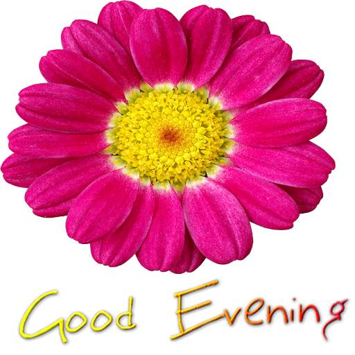 Good Evening sticker Night SweetDream for WhatsApp screenshot 6