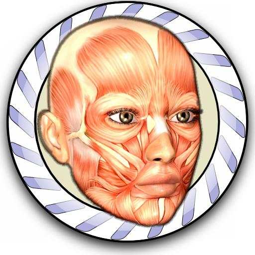 Speed Anatomy Quiz Free 1.34