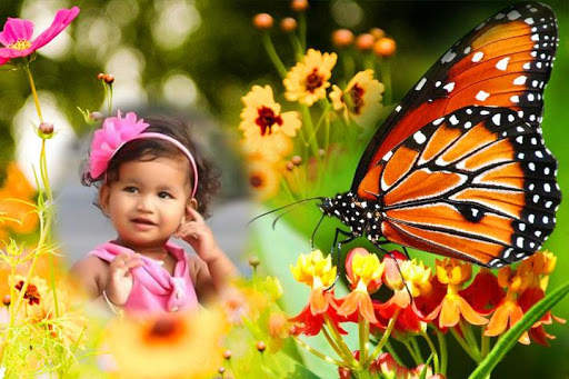 Butterfly Photo Frames screenshot 6