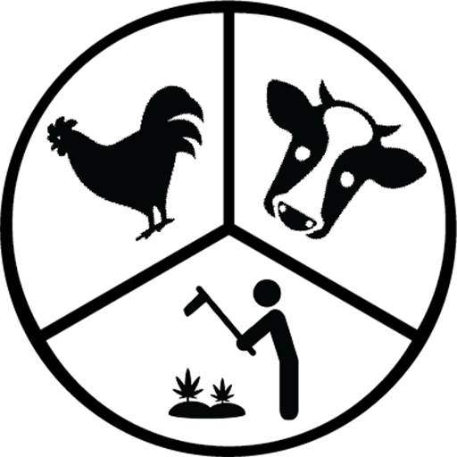 LIMA App icon