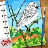 Super Birds Kids Coloring Game 1.0